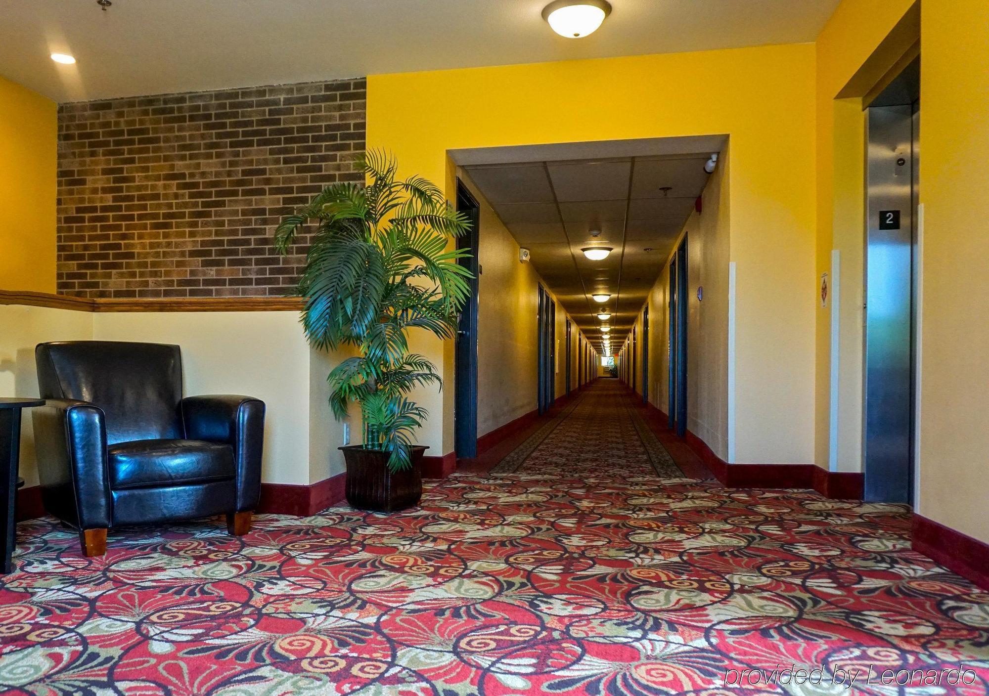 Econo Lodge Mayo Clinic Area Рочестер Экстерьер фото
